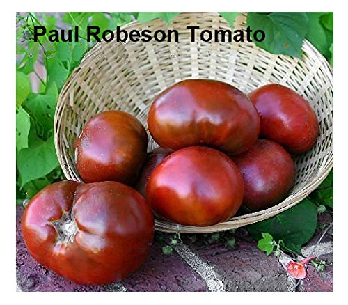 Harley Seeds Black Cherry seeds for juicy, dark-fruited tomatoes