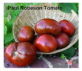Harley Seeds Black Cherry seeds for juicy, dark-fruited tomatoes