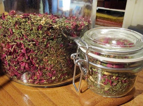 Harley Seeds garden mint seeds pot-ready for easy container herb growing.