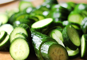 Harley Seeds harvest-ready Persian Beit Alpha cucumbers in hand