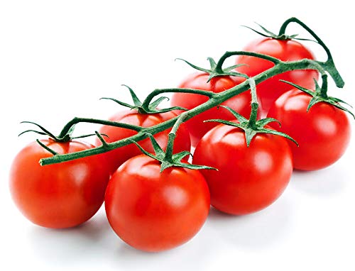 Harvest-ready Ciliegino tomatoes ideal for salads