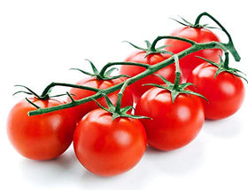 Harvest-ready Ciliegino tomatoes ideal for salads