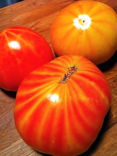 Harley Seeds Mr. Stripey tomato: 24-inch spacing supports strong, healthy plants.