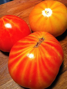 Harley Seeds Mr. Stripey tomato: 24-inch spacing supports strong, healthy plants.
