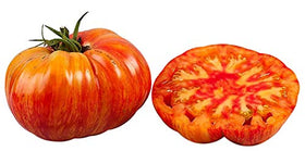Harley Seeds Mr. Stripey tomato: giant fruit, striped skin, ideal for sandwiches.