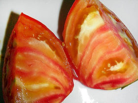 Harley Seeds Mr. Stripey tomato: ready-to-harvest fruit ideal for colorful plates.