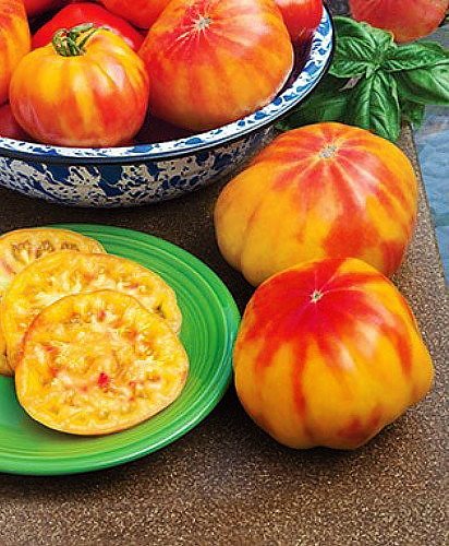 Harley Seeds Mr. Stripey tomato: open-pollinated heirloom for enduring garden flavor.