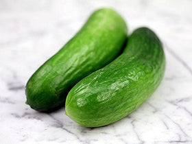 Harley Seeds Muncher 6-8 inch fruit, great for quick pickling.
