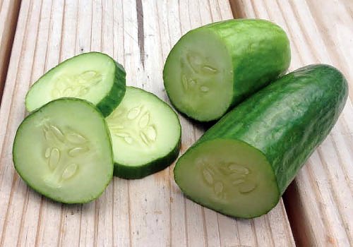 Harley Seeds Muncher strong vines yield abundant cucumbers all season.