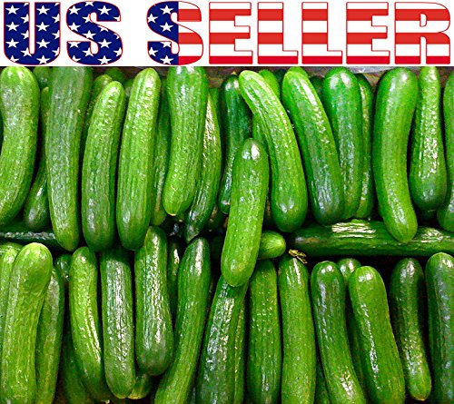 Harley Seeds Persian Beit Alpha heirloom non-GMO label close-up