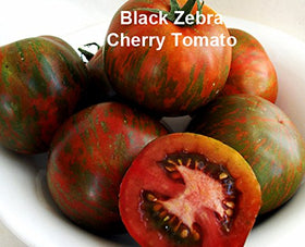 Harley Seeds Ukrainian Purple seeds for vibrant containers and small gardens