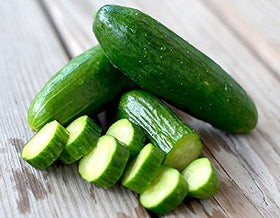 Harley Seeds USA-grown cucumbers thriving in sunlit garden