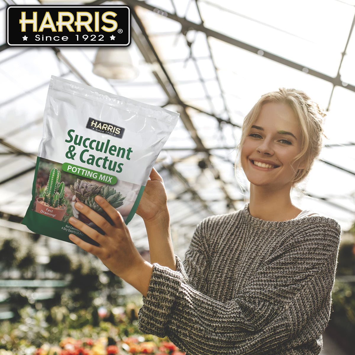 HARRIS Burro's Tail planting showcases versatile placement in this soil mix.