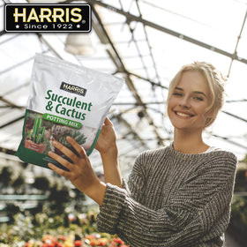 HARRIS Burro's Tail planting showcases versatile placement in this soil mix.