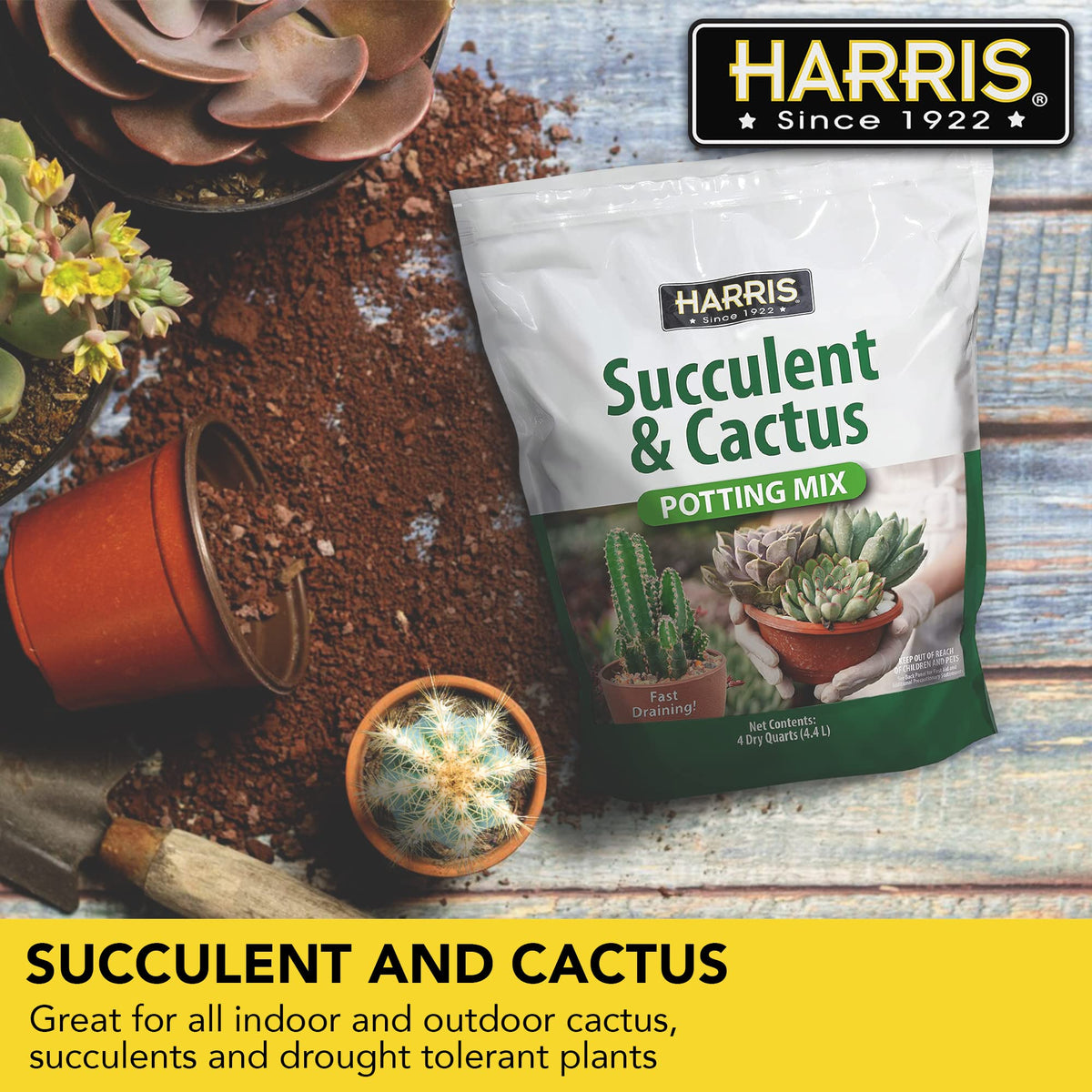 HARRIS Echeveria potting use for even moisture and healthy roots.