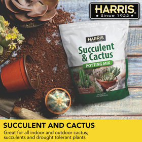 HARRIS Echeveria potting use for even moisture and healthy roots.