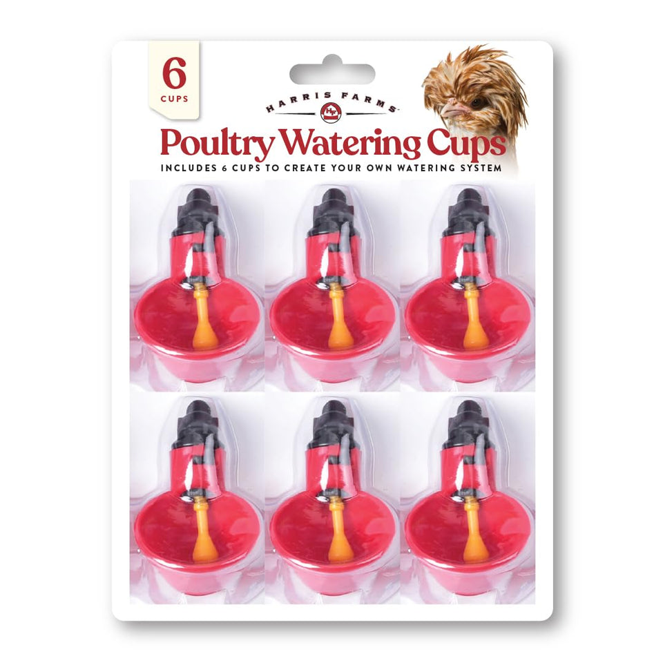 Harris Farms Watering Cups in a chicken coop providing steady water supply