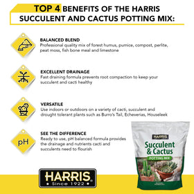 HARRIS fast-draining mix demonstrated with water test for plant roots.