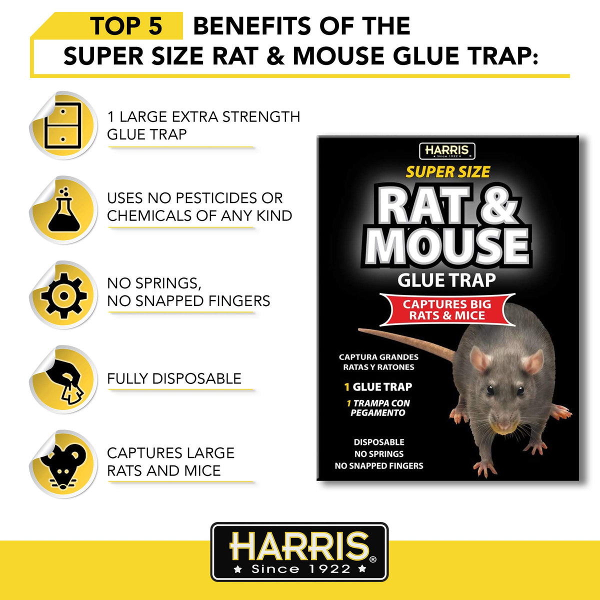 Chemical-free pest control with Harris rat glue traps