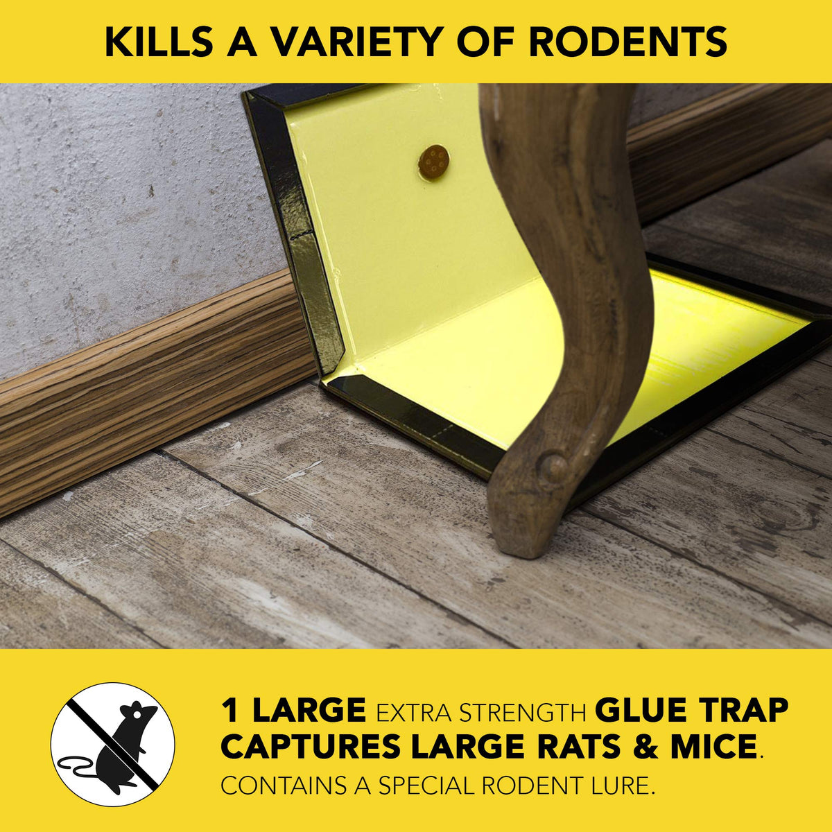 Close-up of Harris trap's large glue area for strong captures