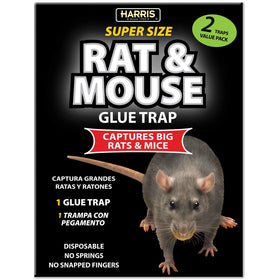 HARRIS Toughest Rat Glue Trap 2-Pack in a kitchen setting for pests