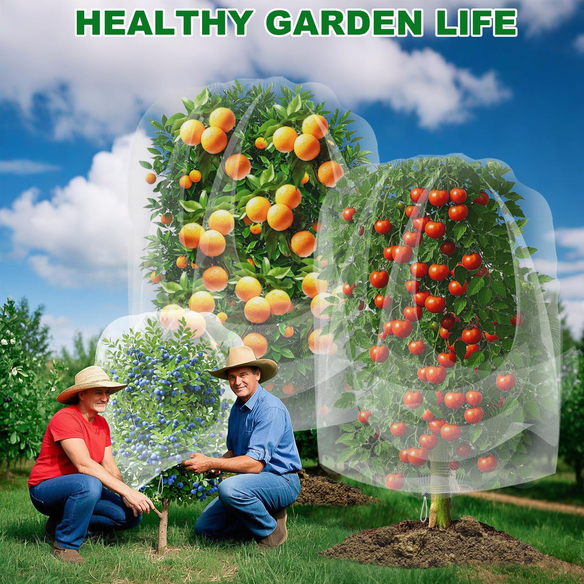 Haru Haru two-size kit fits small trees, shrubs, and containers easily.