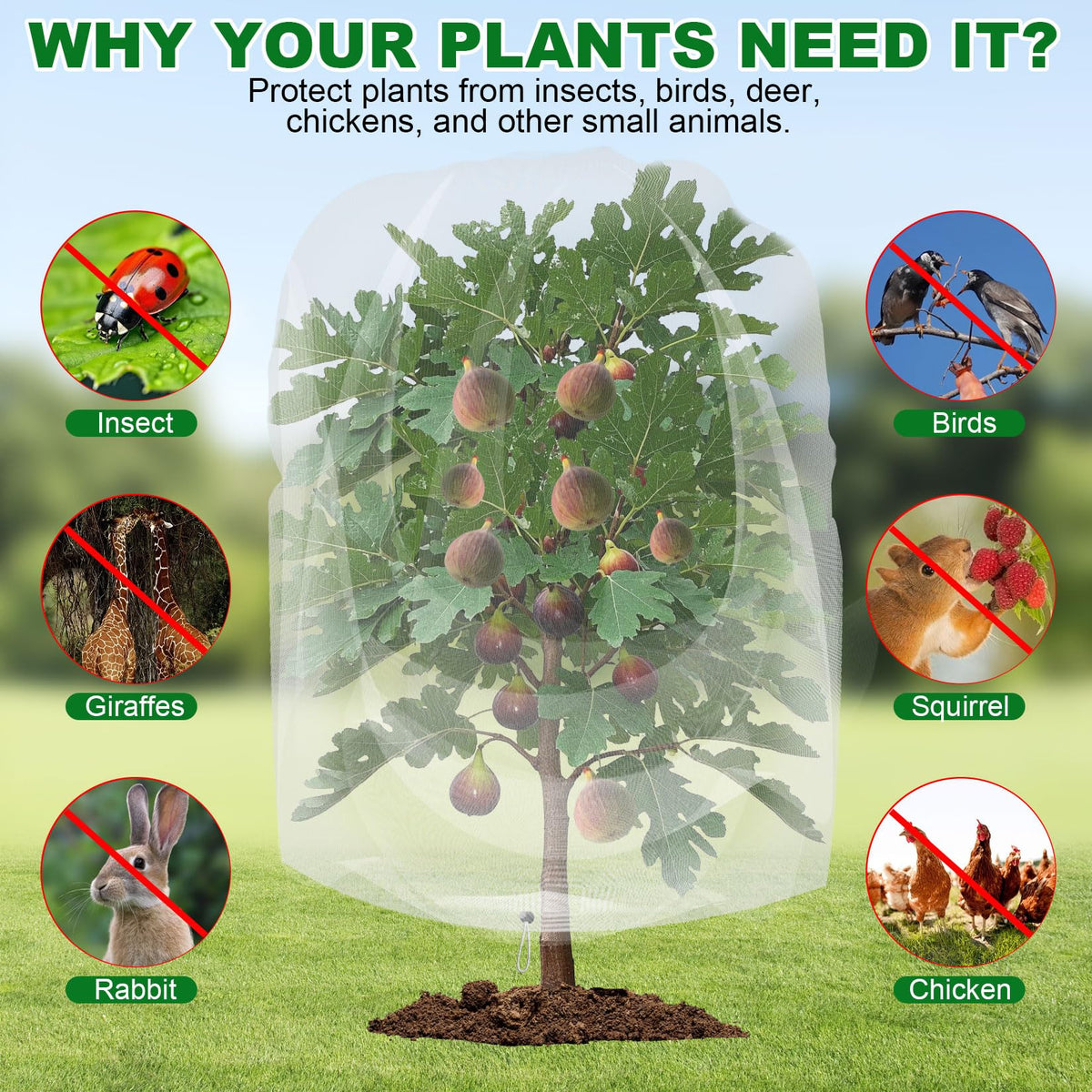 Haru Haru lightweight, breathable mesh is easy to handle in the garden.
