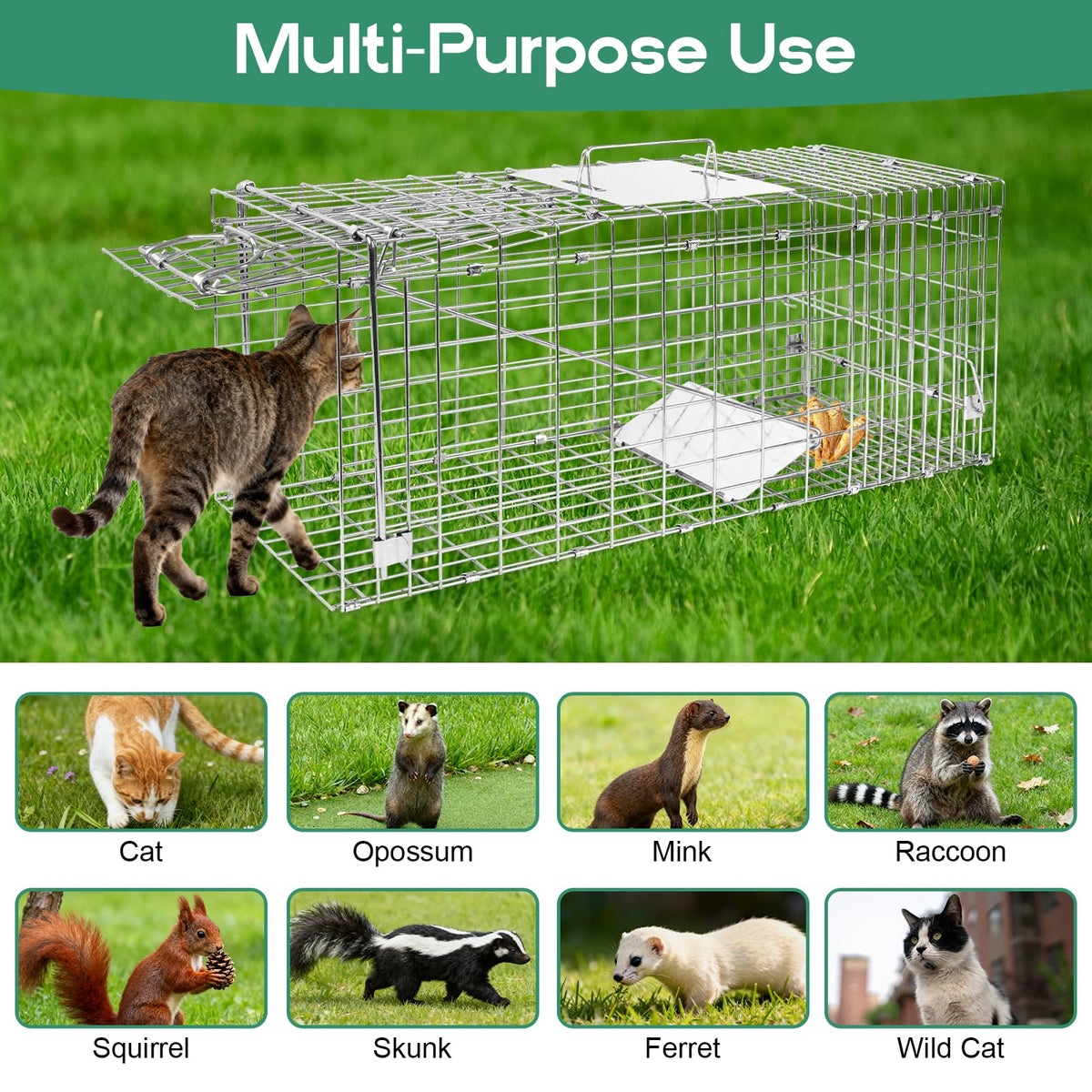 HARVANCO humane wildlife relocation with ethical capture and release.