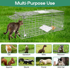HARVANCO humane wildlife relocation with ethical capture and release.