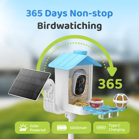HARYMOR 2K camera with infrared night vision captures nocturnal visitors.
