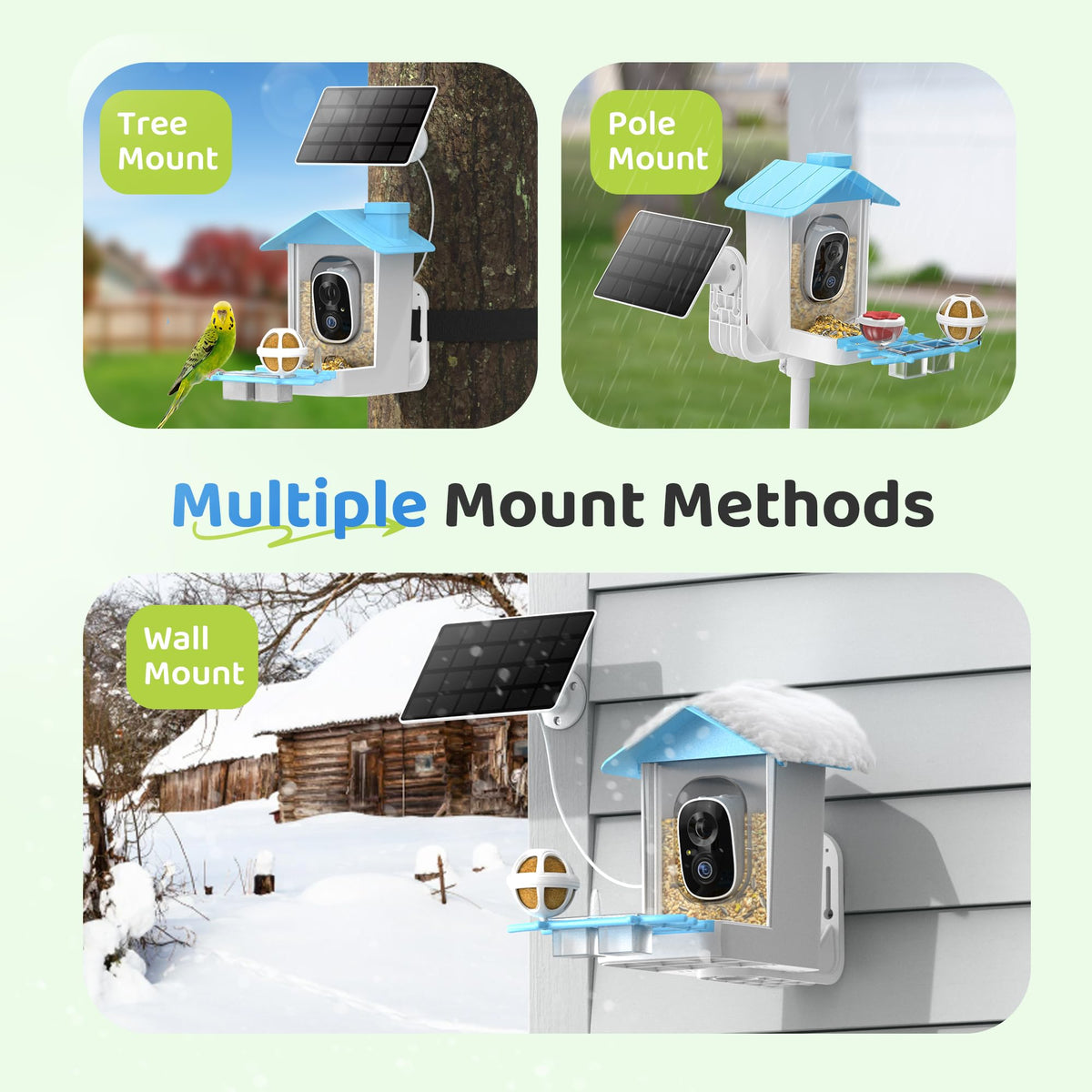 HARYMOR feeder includes a large 1.5L container for longer viewing sessions.