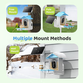 HARYMOR feeder includes a large 1.5L container for longer viewing sessions.