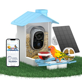 HARYMOR Smart Bird Feeder with Camera delivers crisp 2K live view for close-up viewing.