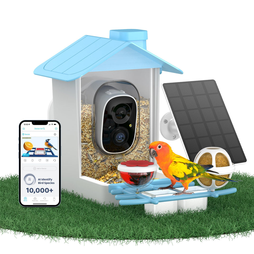 HARYMOR Smart Bird Feeder with Camera delivers crisp 2K live view for close-up viewing.