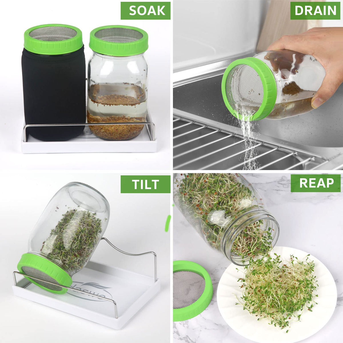 Haswe clear instructions guide soak, rinse, and harvest in days.
