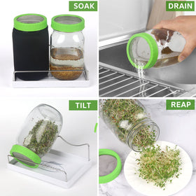 Haswe clear instructions guide soak, rinse, and harvest in days.