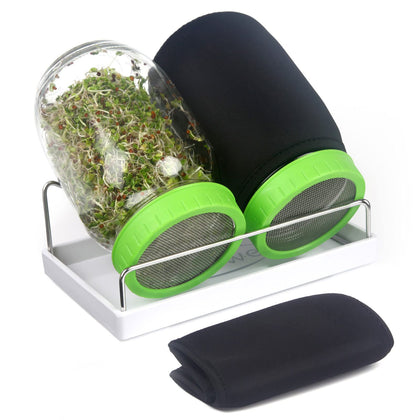 Haswe seed sprouting jar kit with wide-mouth jars for convenient home sprouts.
