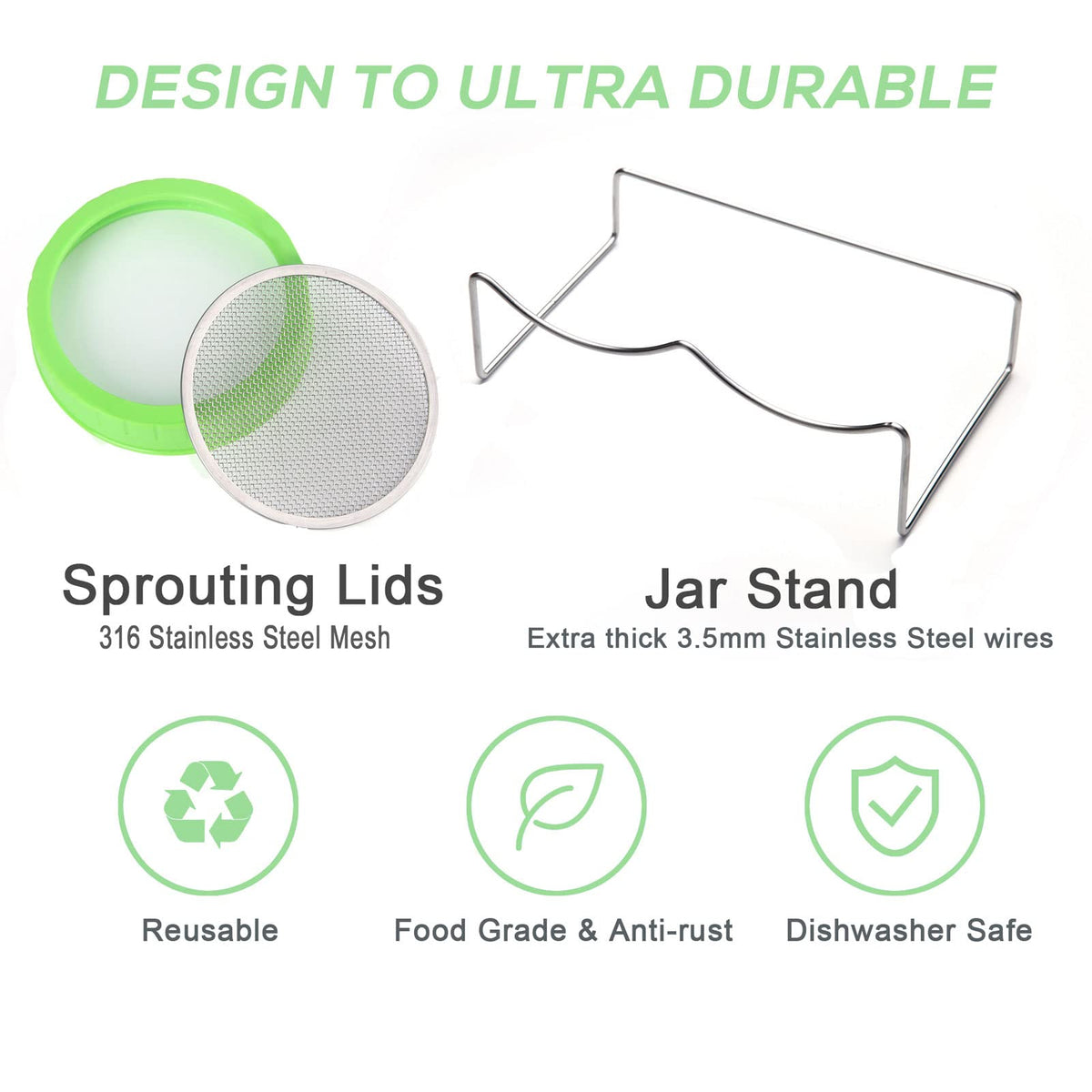Haswe sprouting tray and stand keeps jars stable during daily rinses.