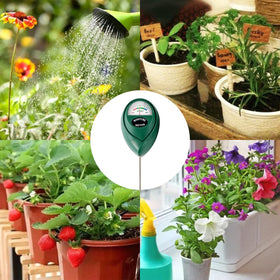 Hathdia deep-root zone moisture testing helps large pots.