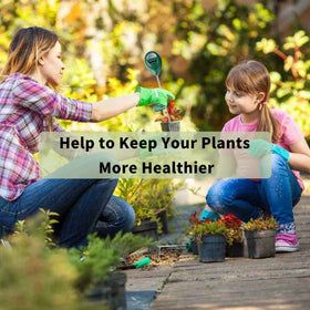 Hathdia potted-plants moisture monitor enables proactive care.