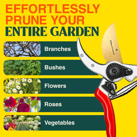 Haus & Garten ClassicPRO edge being tested on fresh-cut branches
