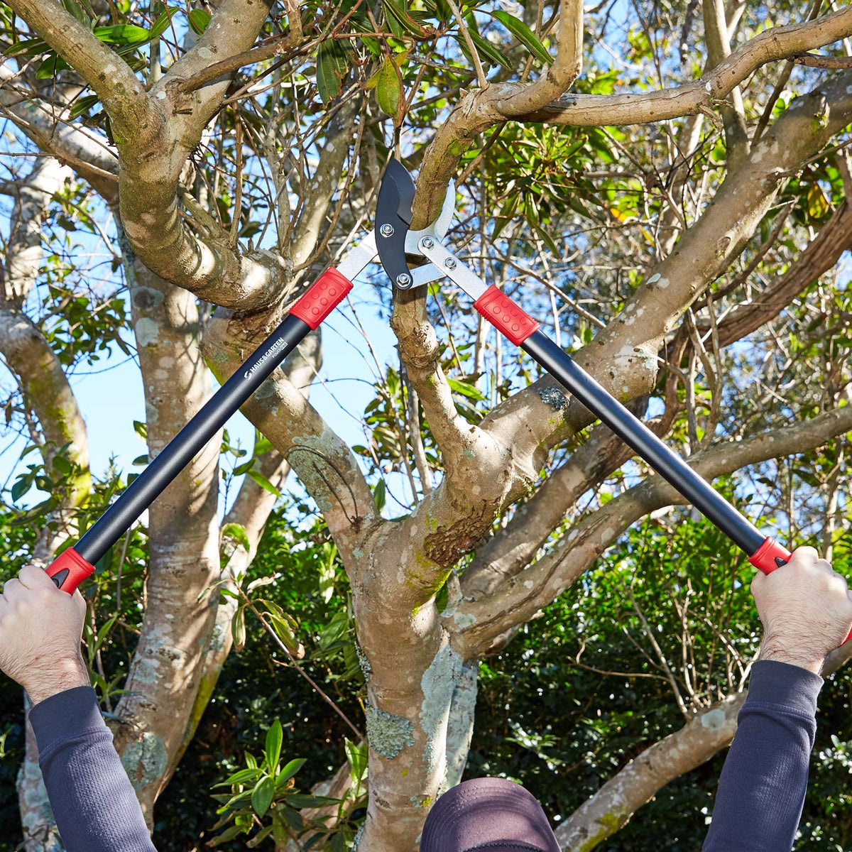 Haus and Garten PowerPRO loppers sap-resistant coating makes cleanup easy.