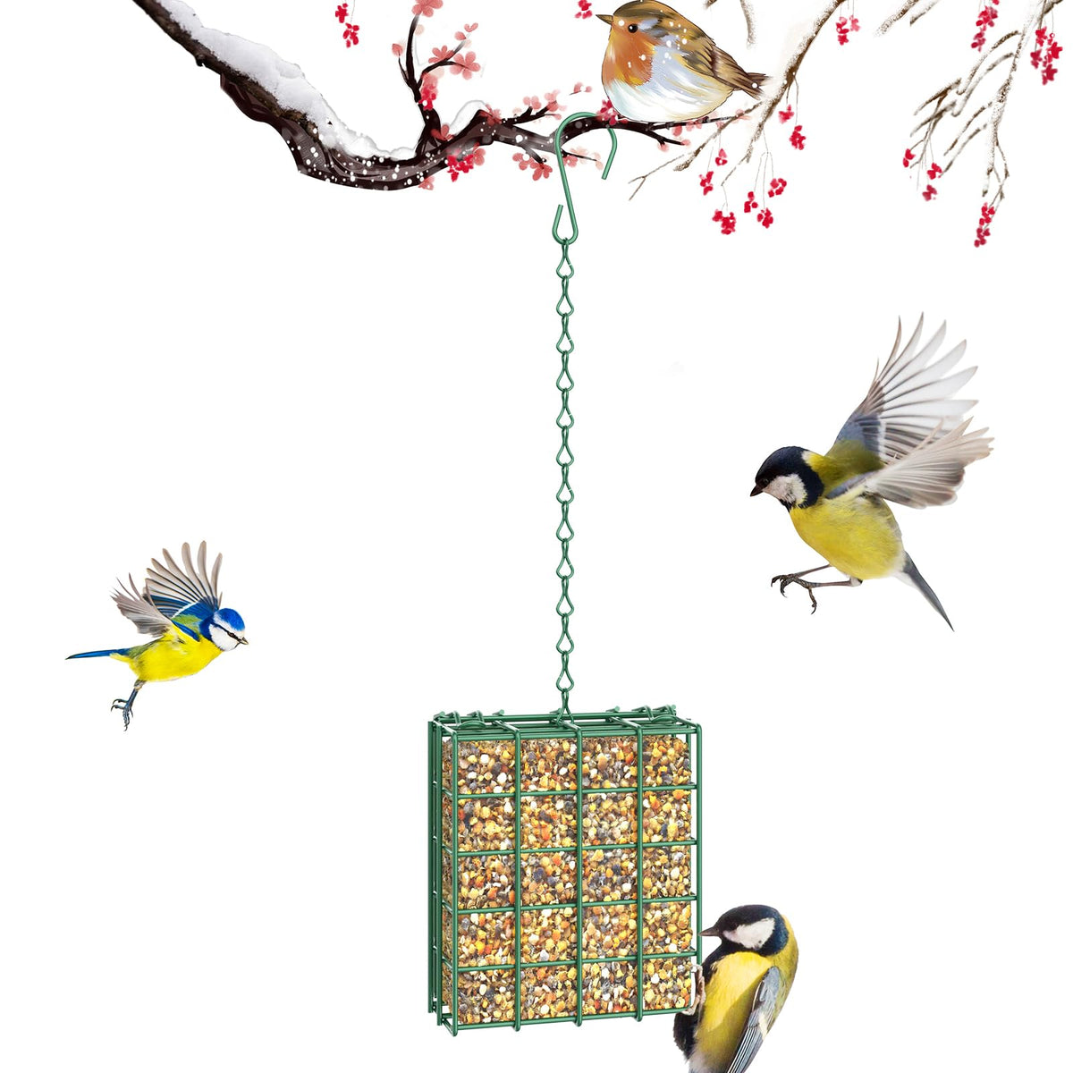 HAVENATURE bird feeder hanging on a tree attracts backyard birds.