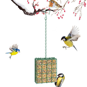 HAVENATURE bird feeder hanging on a tree attracts backyard birds.