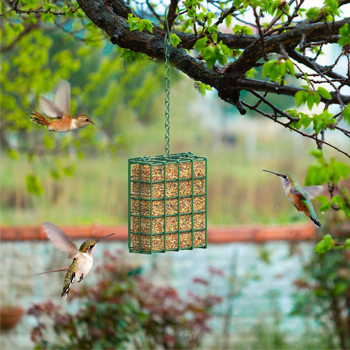 HAVENATURE feeder hung near trees improves bird visibility for watchers.