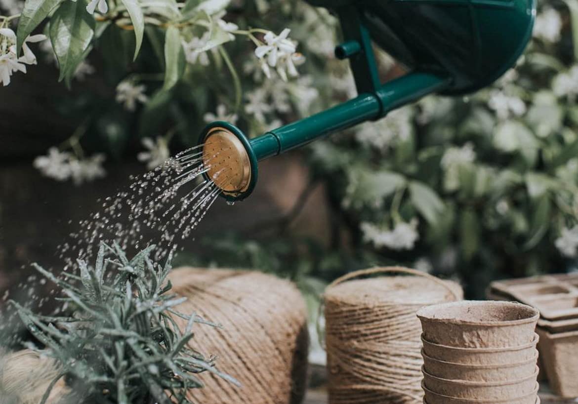 Haws Bartley Burbler long-spout delivers precise splash-free watering