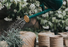 Haws Bartley Burbler long-spout delivers precise splash-free watering