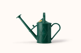 Haws Bartley Burbler removable brass-faced rose enables gentle spraying