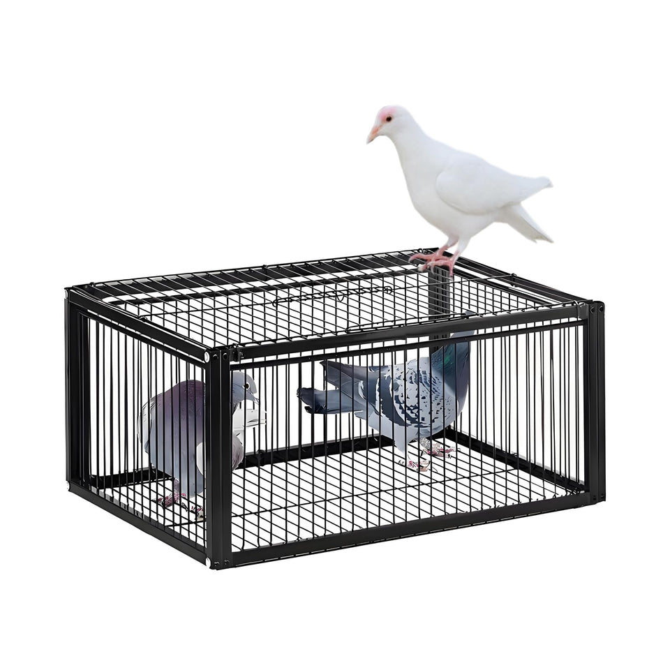 HAYLILUYOO Pigeon Trap Cage front view shows durable rust-proof frame for outdoor use.