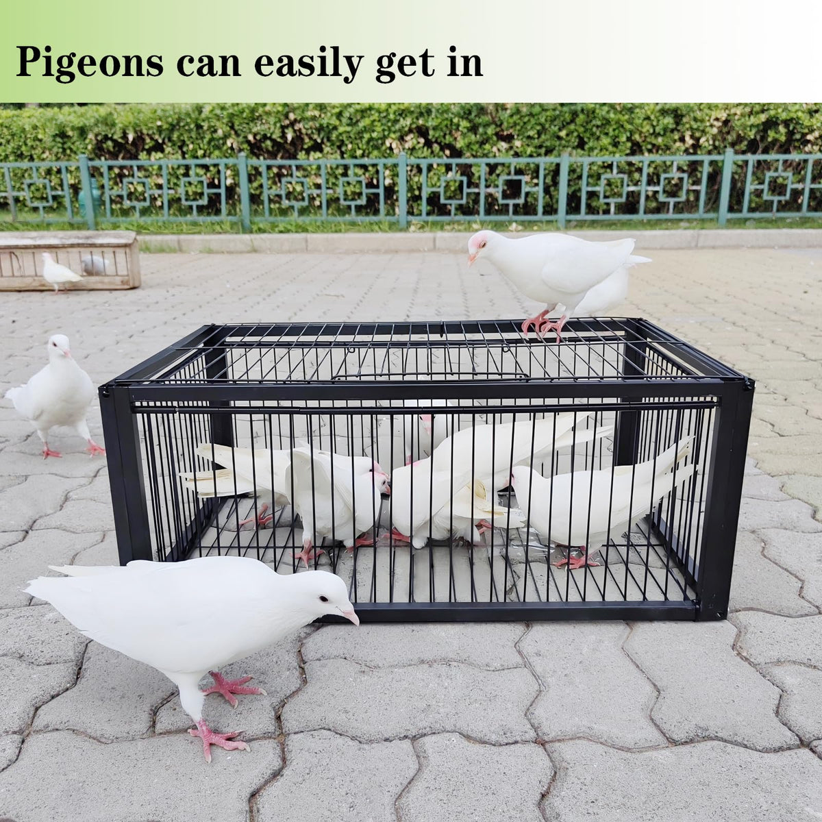 HAYLILUYOO Pigeon Trap Cage side view demonstrates compact, one-way entry for humane capture.
